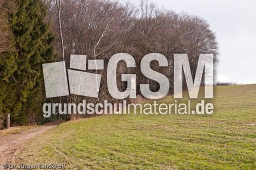 Hochstände (113 von 154).jpg